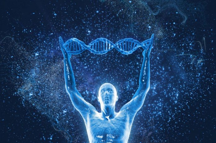 Adn dna