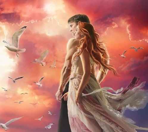 Amour couple oiseaux
