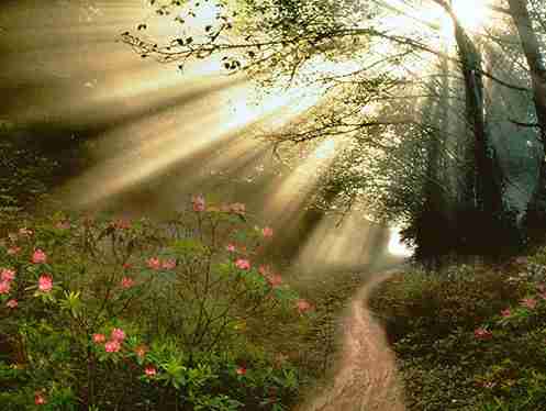 Chemin lumiere