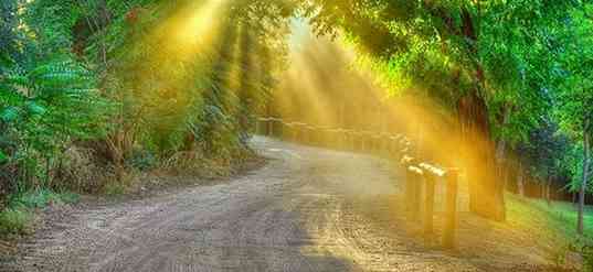 Chemin