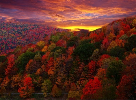 Couleurs automne