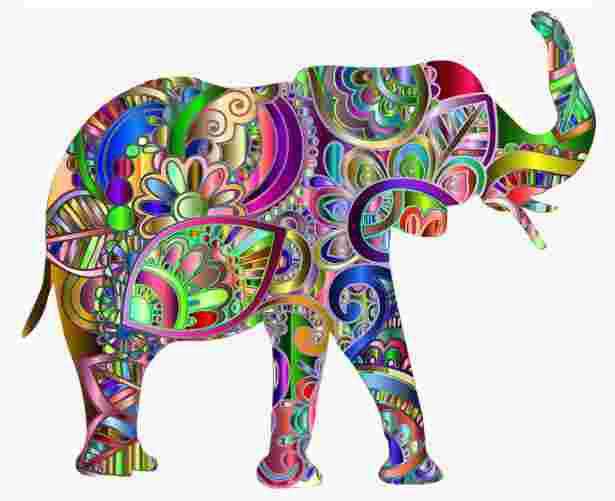 Elephant 1