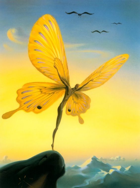 Envol papillon
