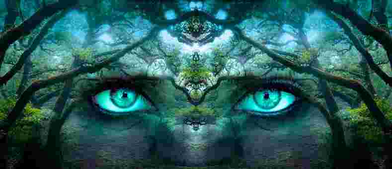 Esprit nature