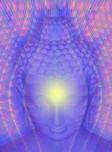 Intuition