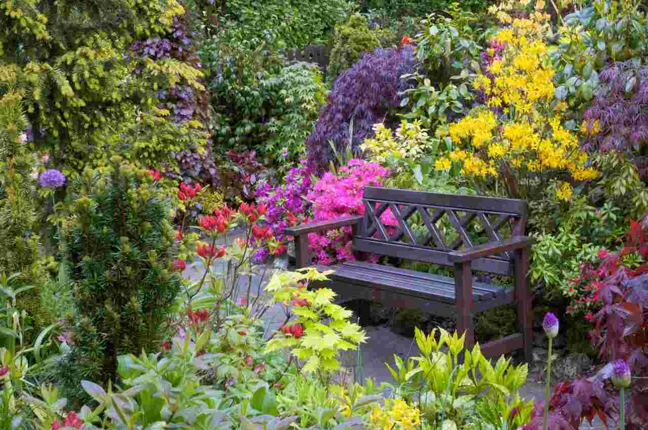 Jardin