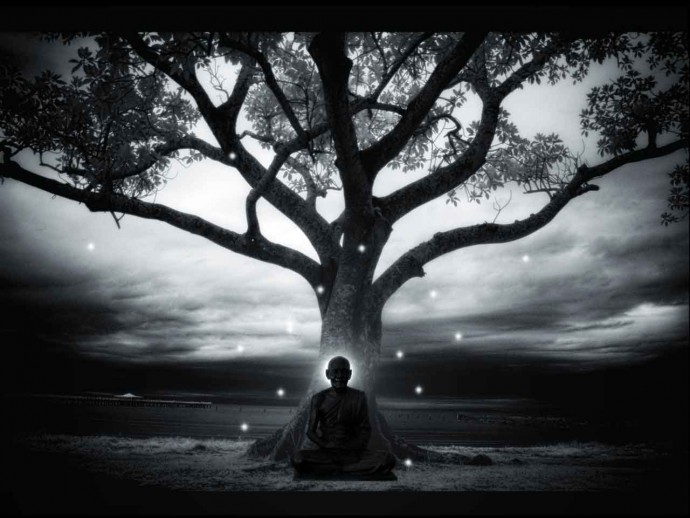 Meditation zen arbre