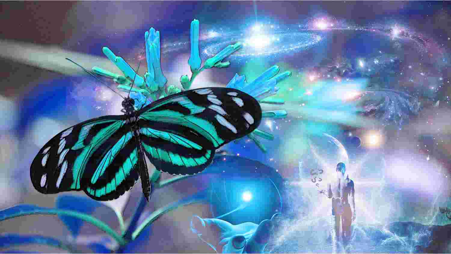 Metamorphose de l ame