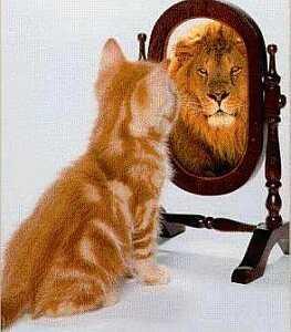 Miroir 4