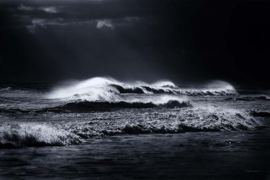 Ocean