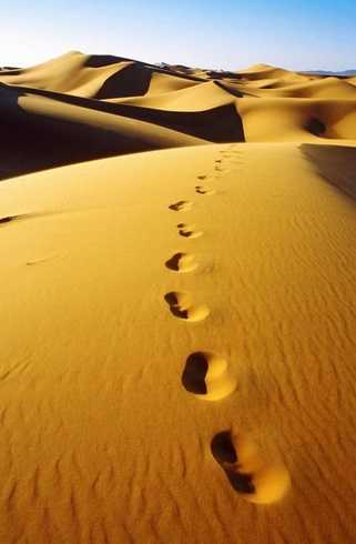 Pas desert