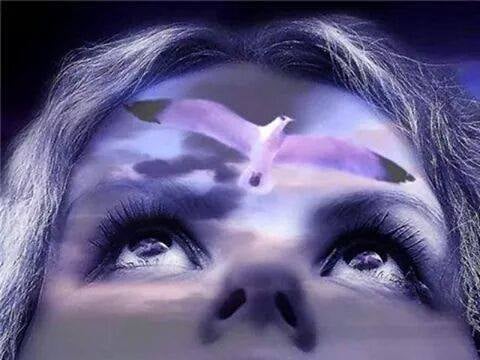 Pensees