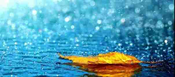 Pluie