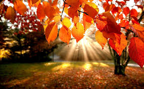 Septembre