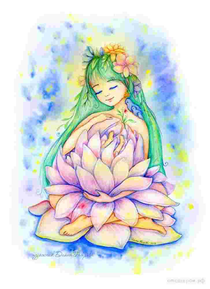 Serenite lotus