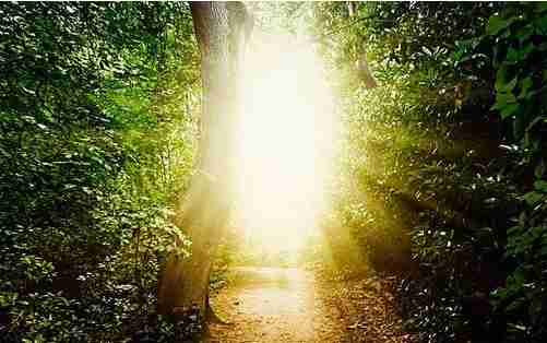 Sun shining