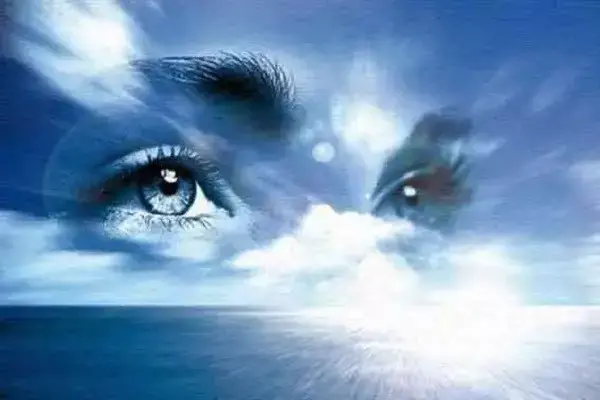 Vision
